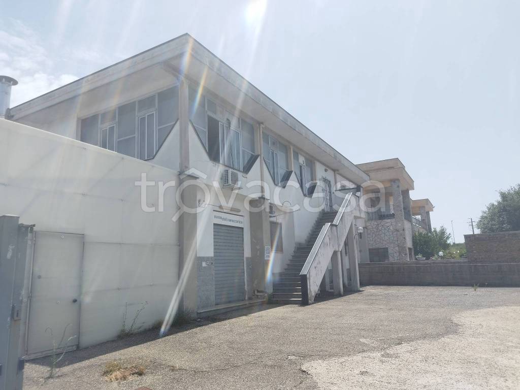 immagine annuncio 3 di 9