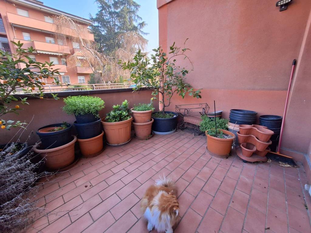 immagine annuncio 7 di 15