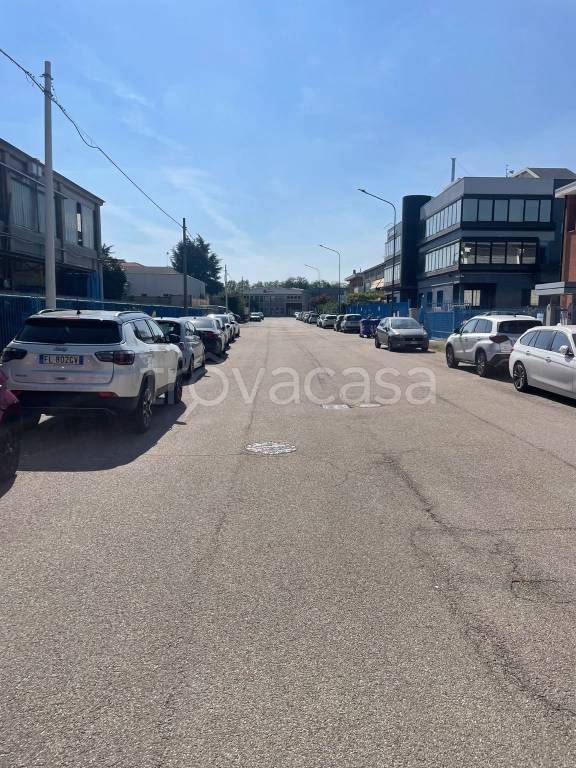 immagine annuncio 3 di 13