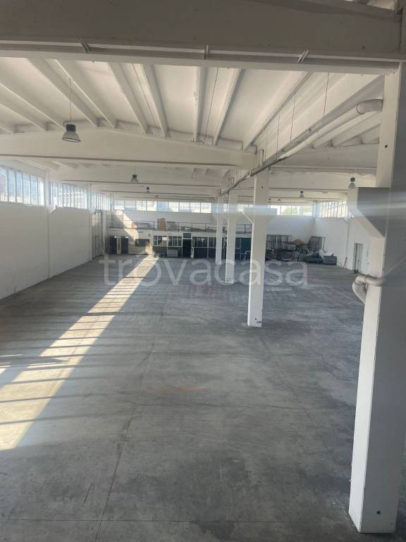 immagine annuncio 7 di 13