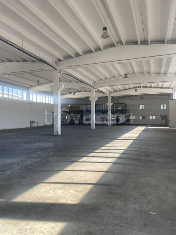 immagine annuncio 8 di 13