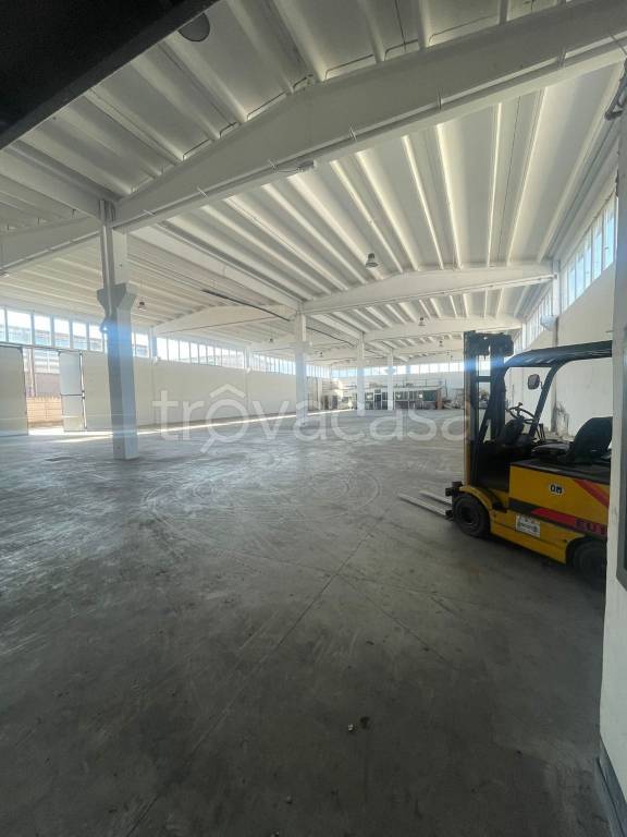 immagine annuncio 10 di 13