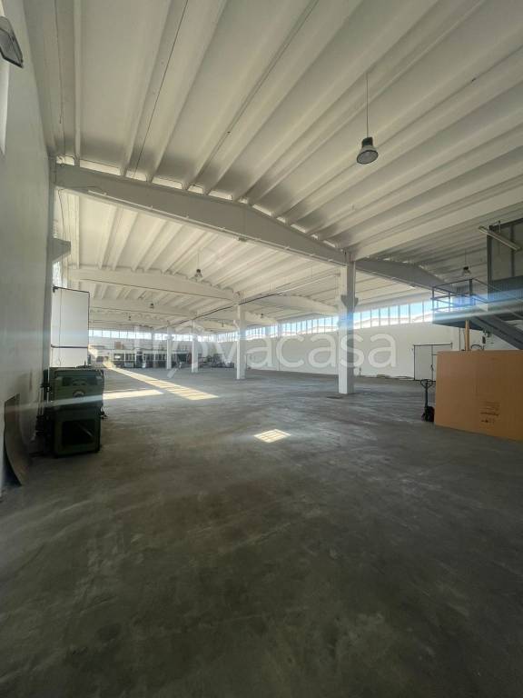 immagine annuncio 11 di 13