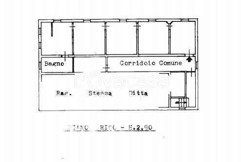 immagine annuncio 10 di 12