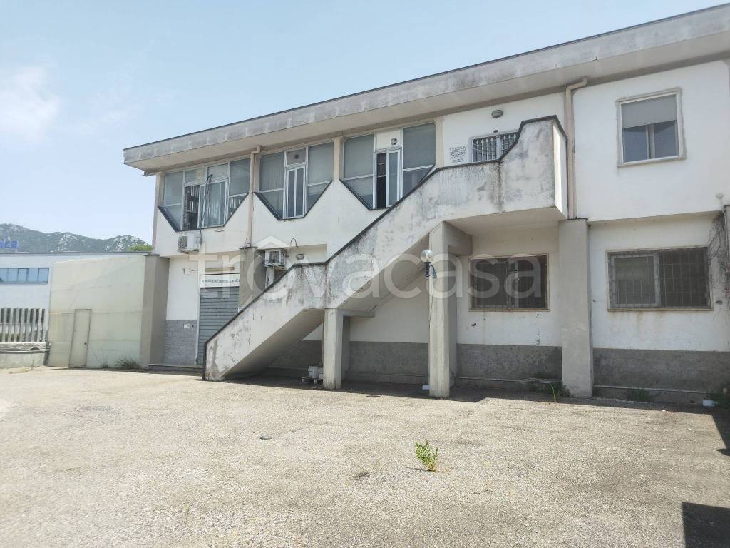 immagine annuncio 6 di 9