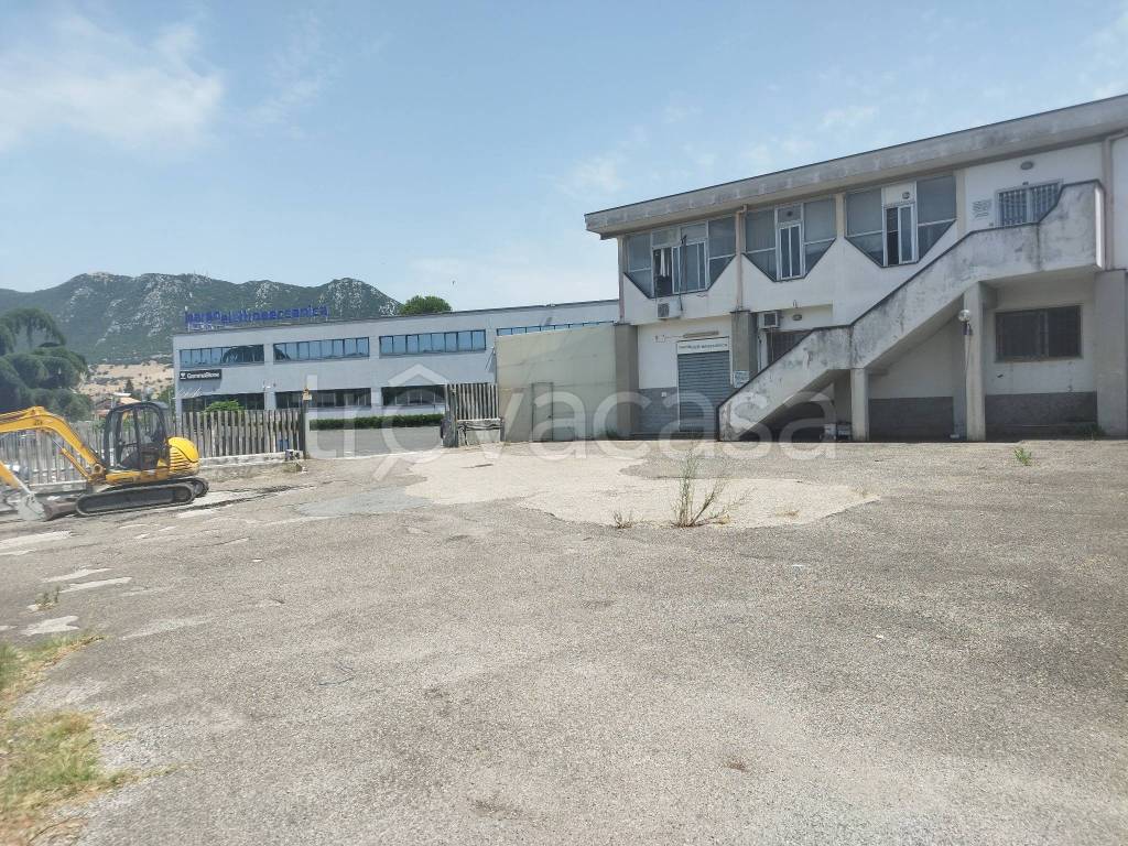 immagine annuncio 7 di 9