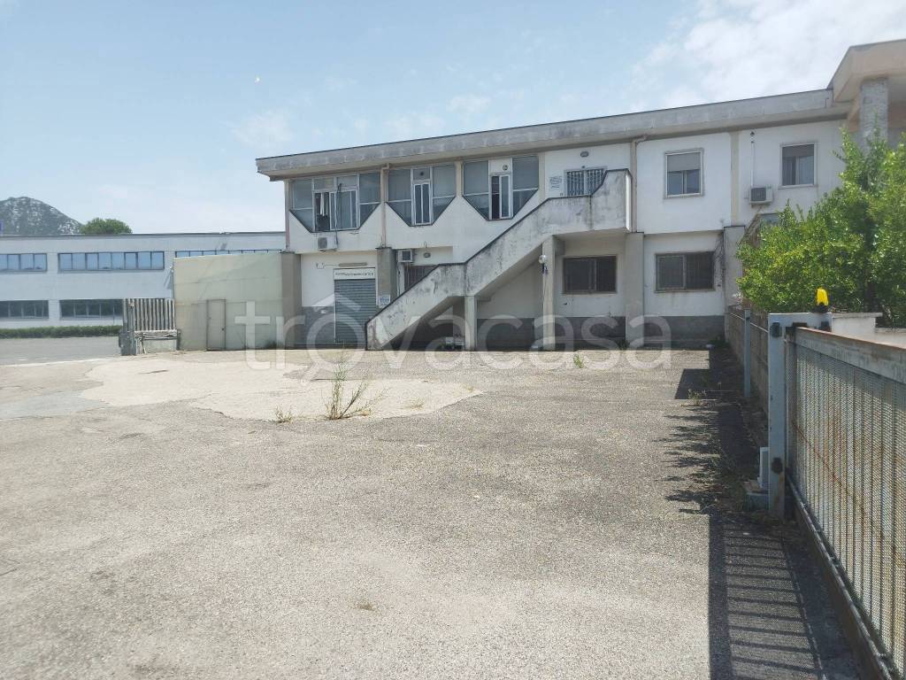 immagine annuncio 8 di 9