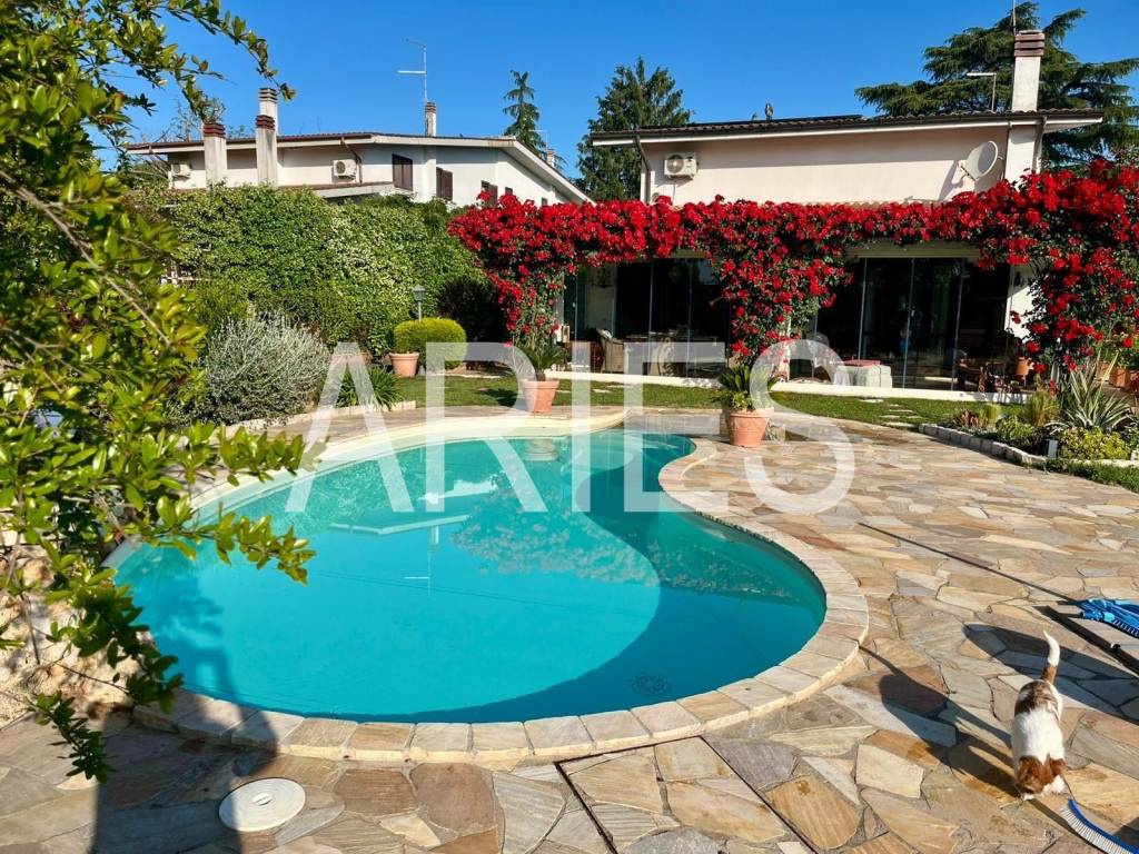 immagine annuncio 14 di 15