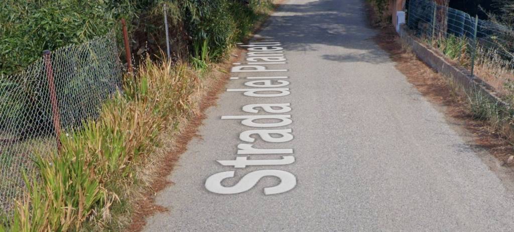 immagine annuncio 2 di 11