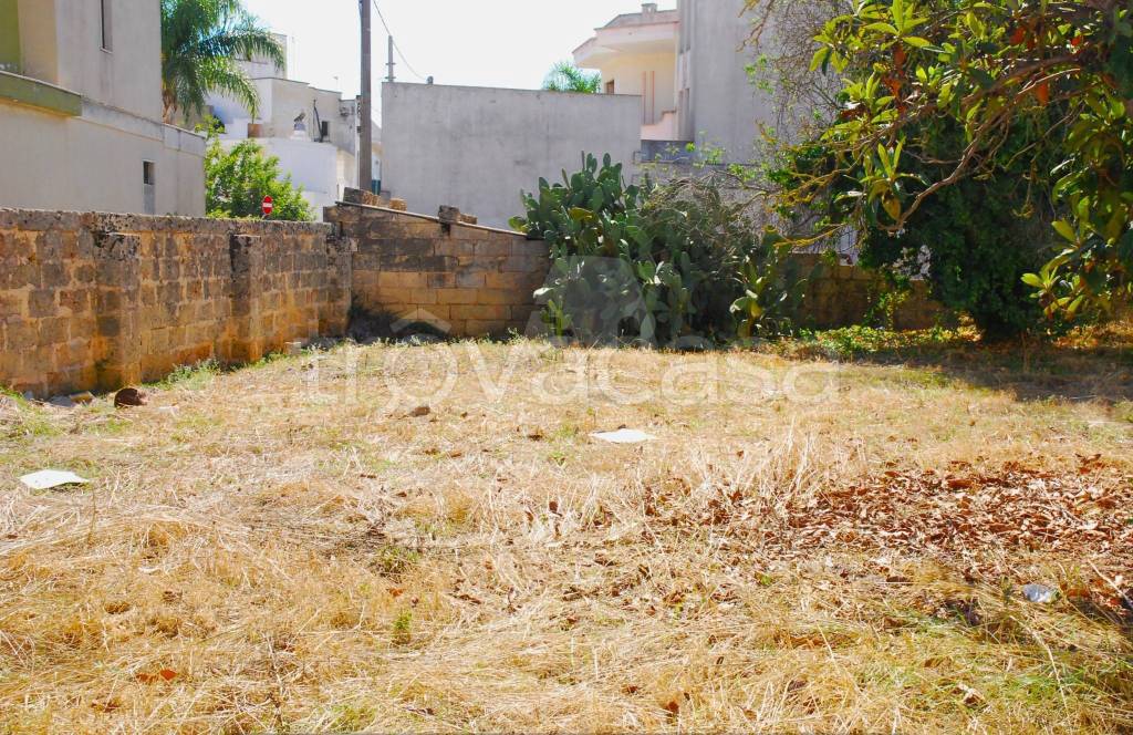 immagine annuncio 6 di 14