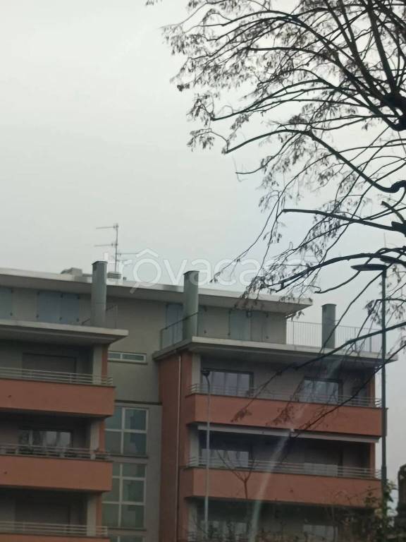 immagine annuncio 5 di 11