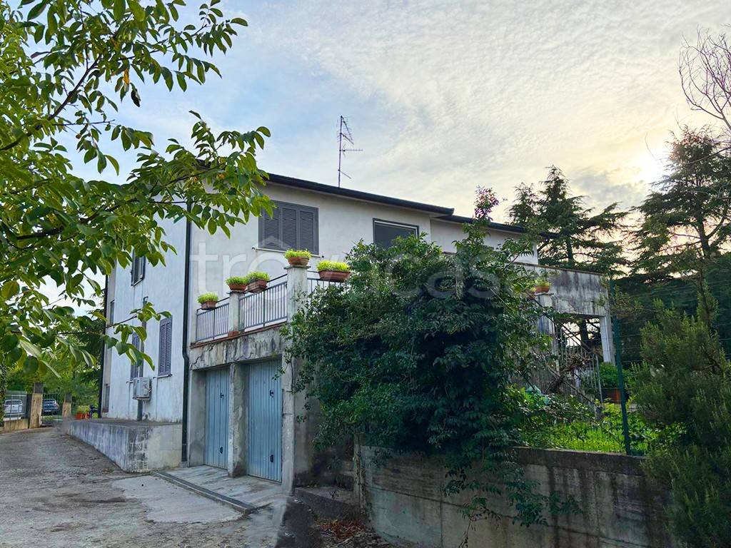 immagine annuncio 10 di 13