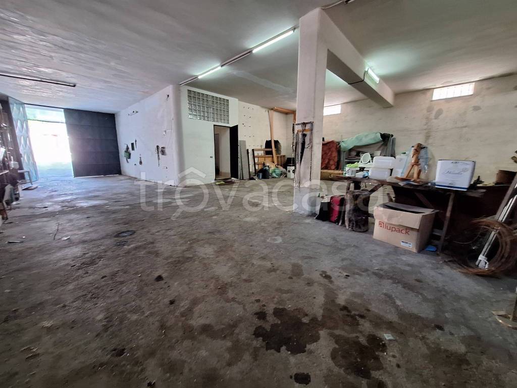 immagine annuncio 11 di 15