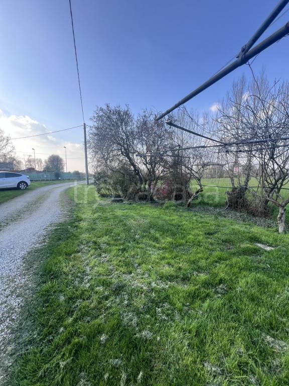 immagine annuncio 1 di 6