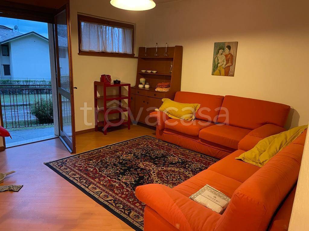 immagine annuncio 1 di 14