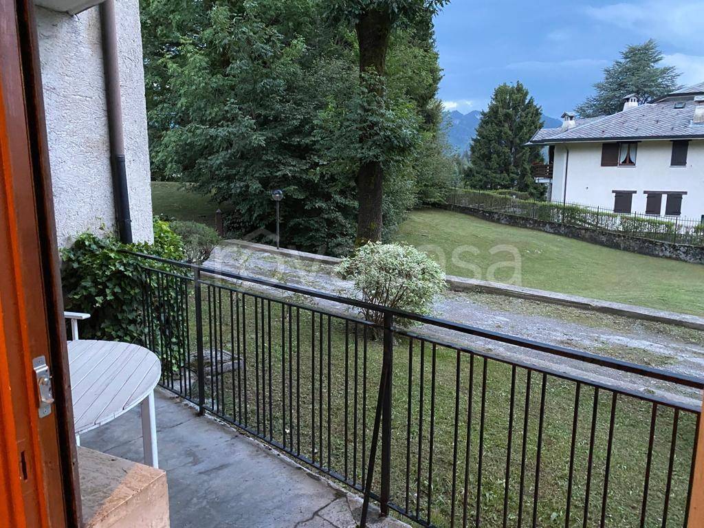 immagine annuncio 11 di 14