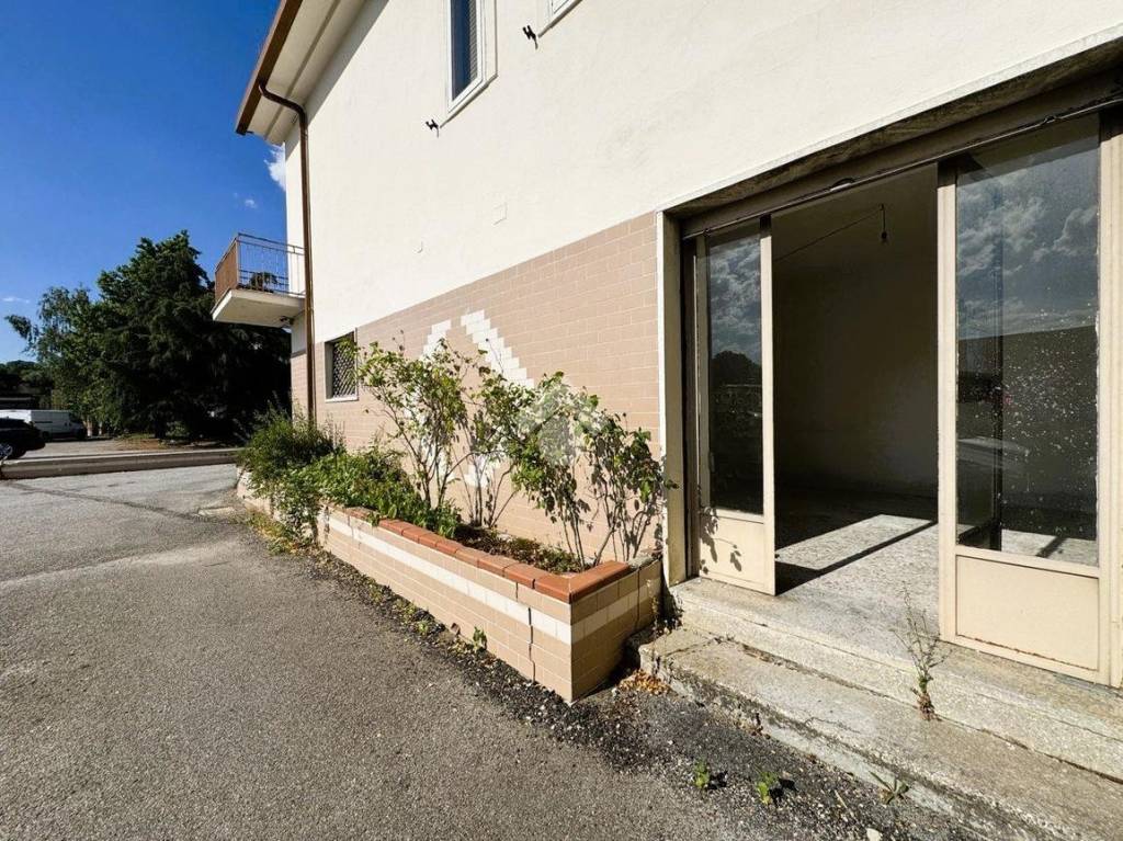 immagine annuncio 7 di 12