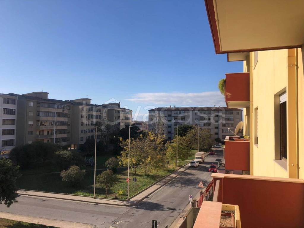 immagine annuncio 7 di 14