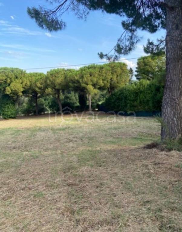 immagine annuncio 5 di 7