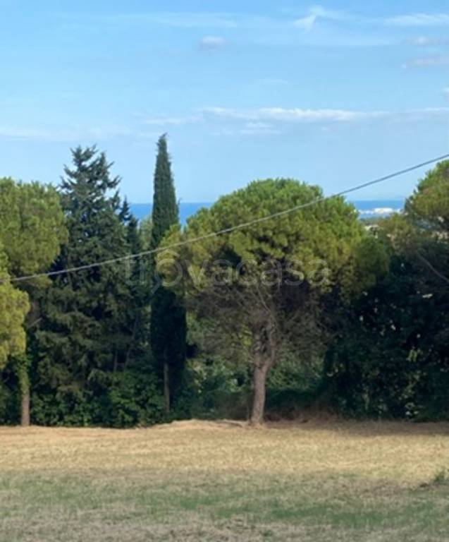 immagine annuncio 6 di 7