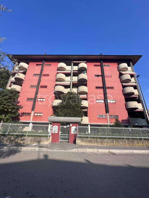immagine annuncio 4 di 15