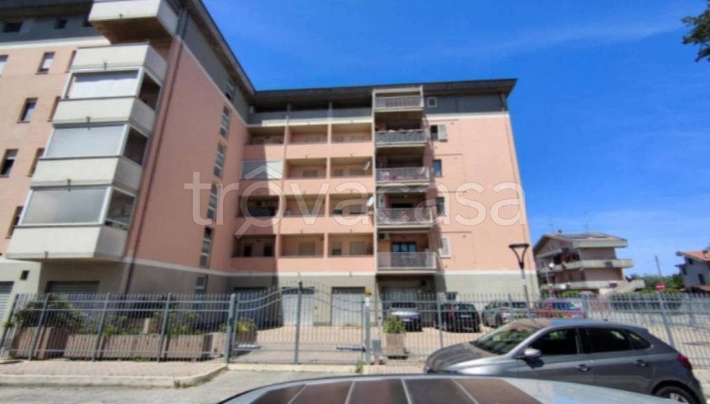 immagine annuncio 1 di 12