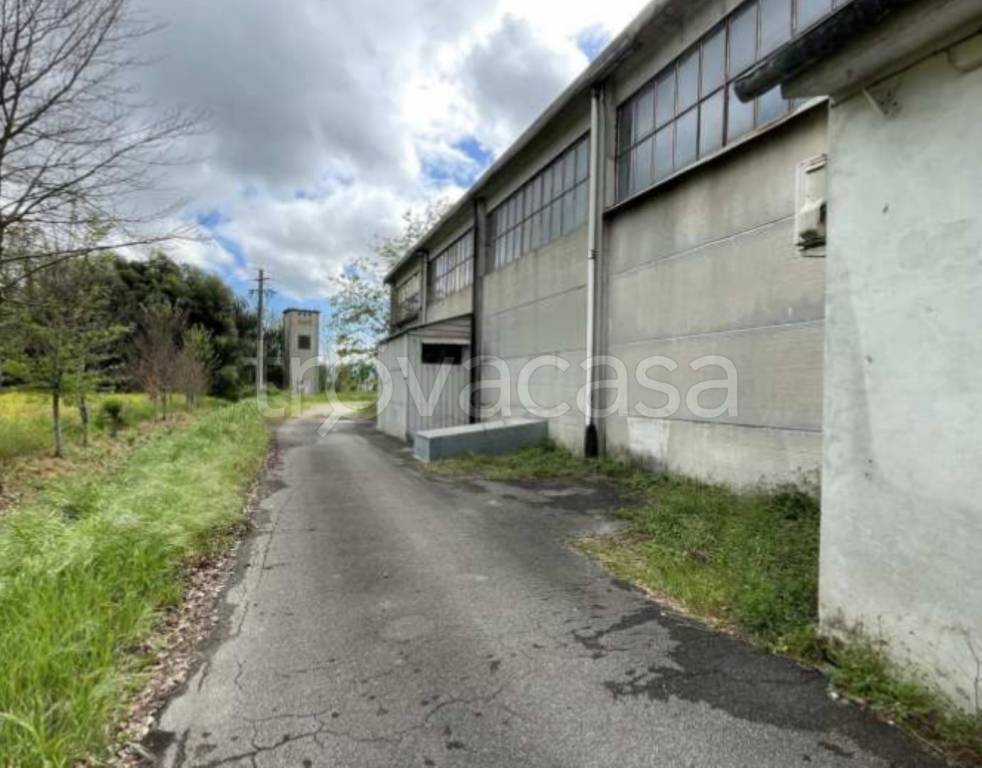 immagine annuncio 7 di 13
