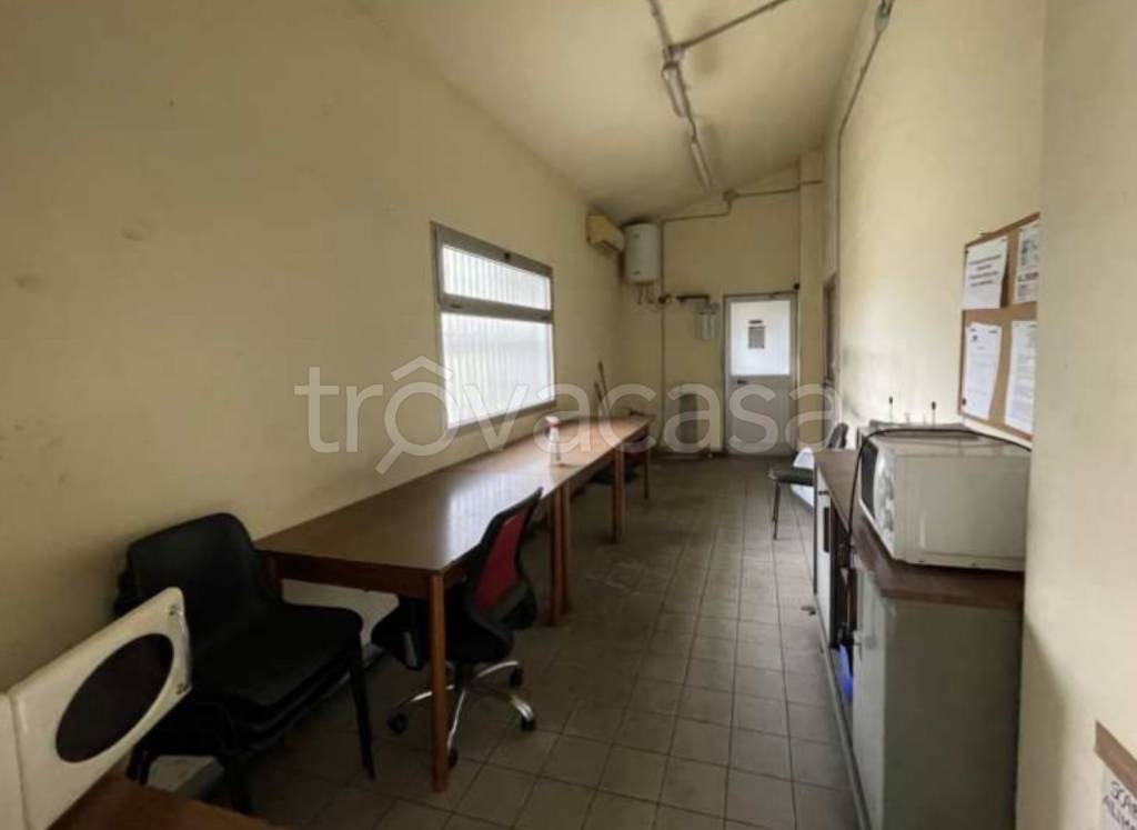 immagine annuncio 11 di 13
