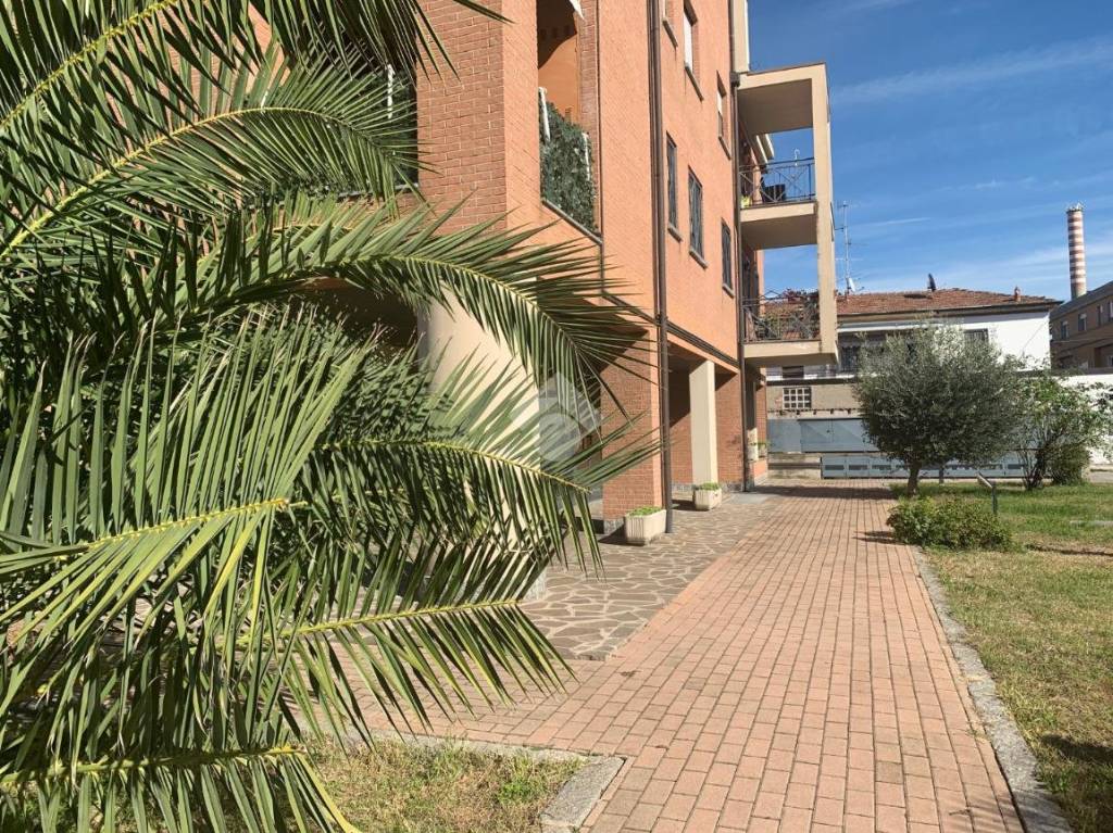 immagine annuncio 3 di 13