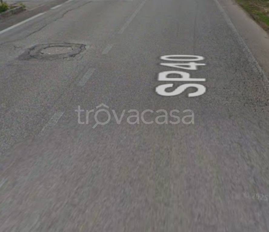 immagine annuncio 4 di 14