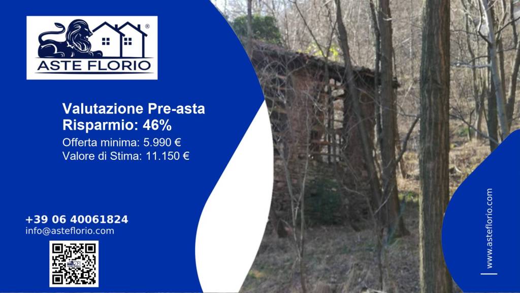 immagine annuncio 1 di 12