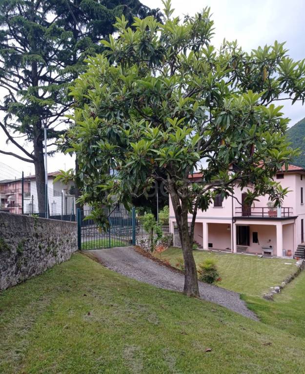 immagine annuncio 9 di 12