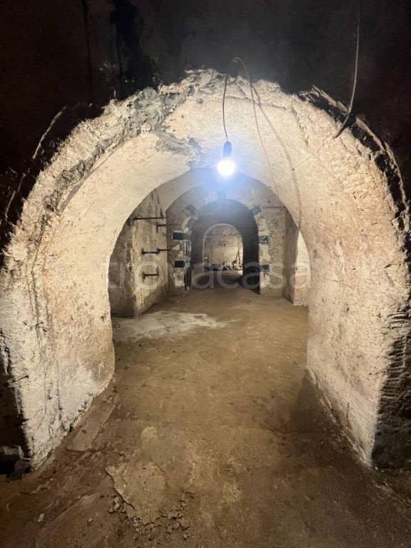 immagine annuncio 6 di 14