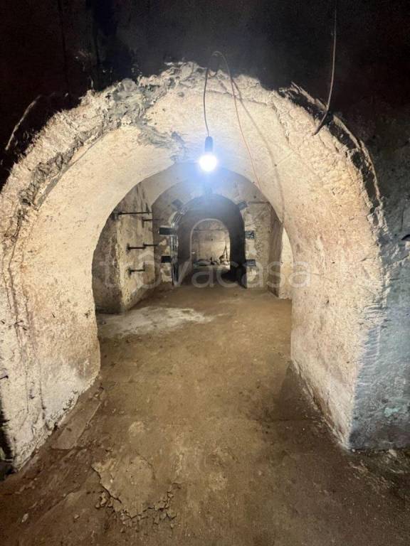 immagine annuncio 7 di 14