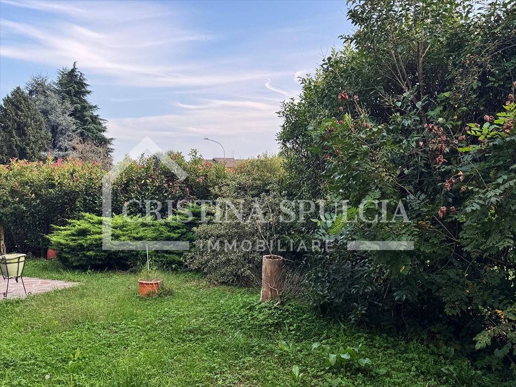 immagine annuncio 1 di 14