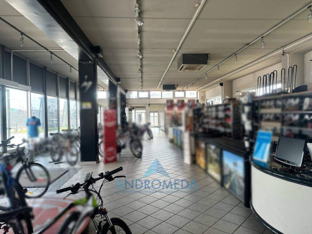 immagine annuncio 2 di 12