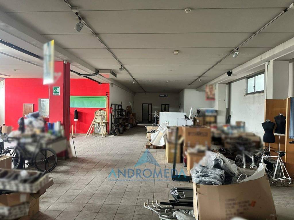 immagine annuncio 3 di 12