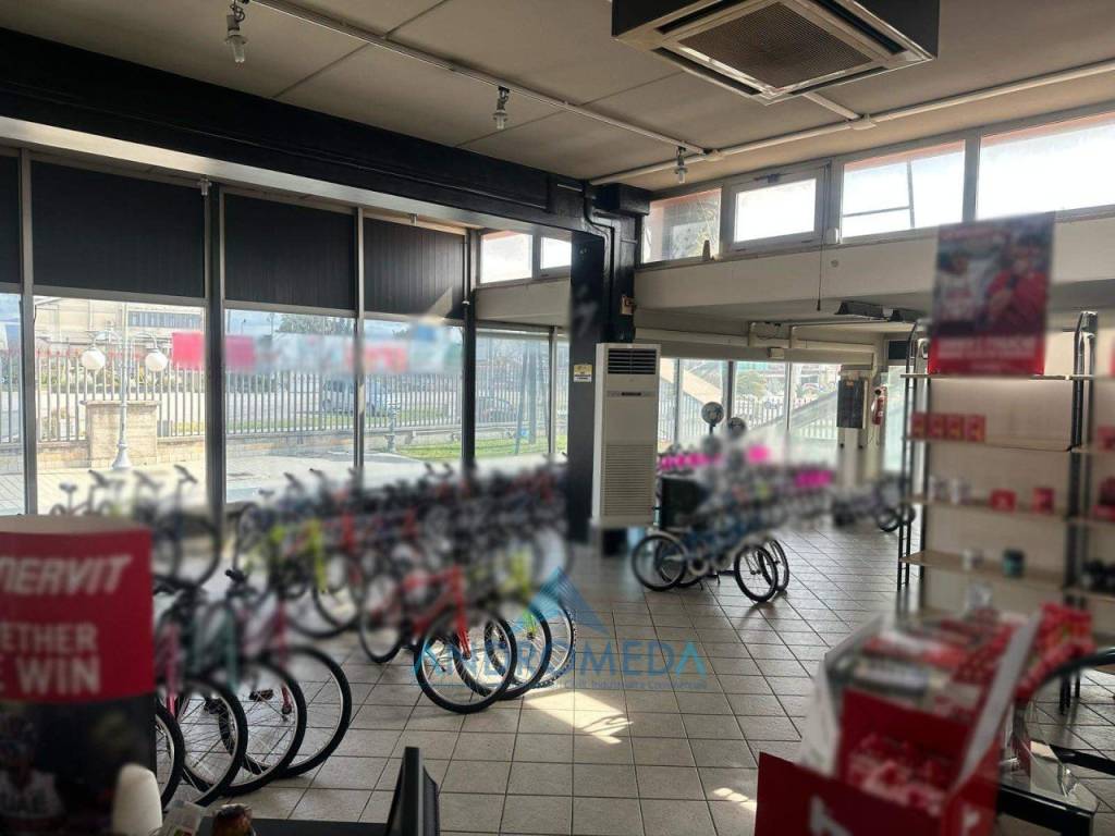 immagine annuncio 4 di 12