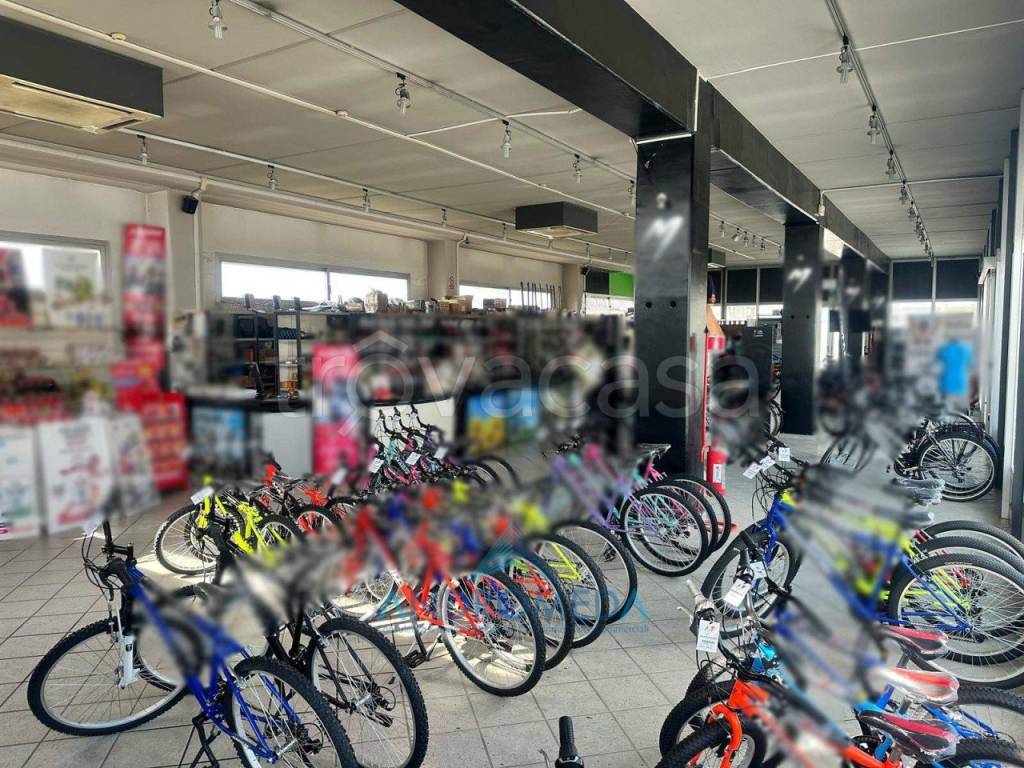 immagine annuncio 5 di 12