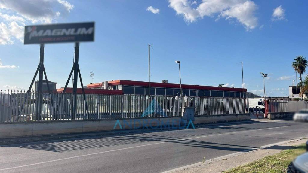 immagine annuncio 9 di 12