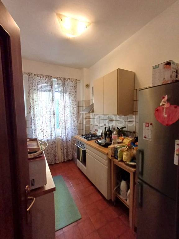 immagine annuncio 9 di 14
