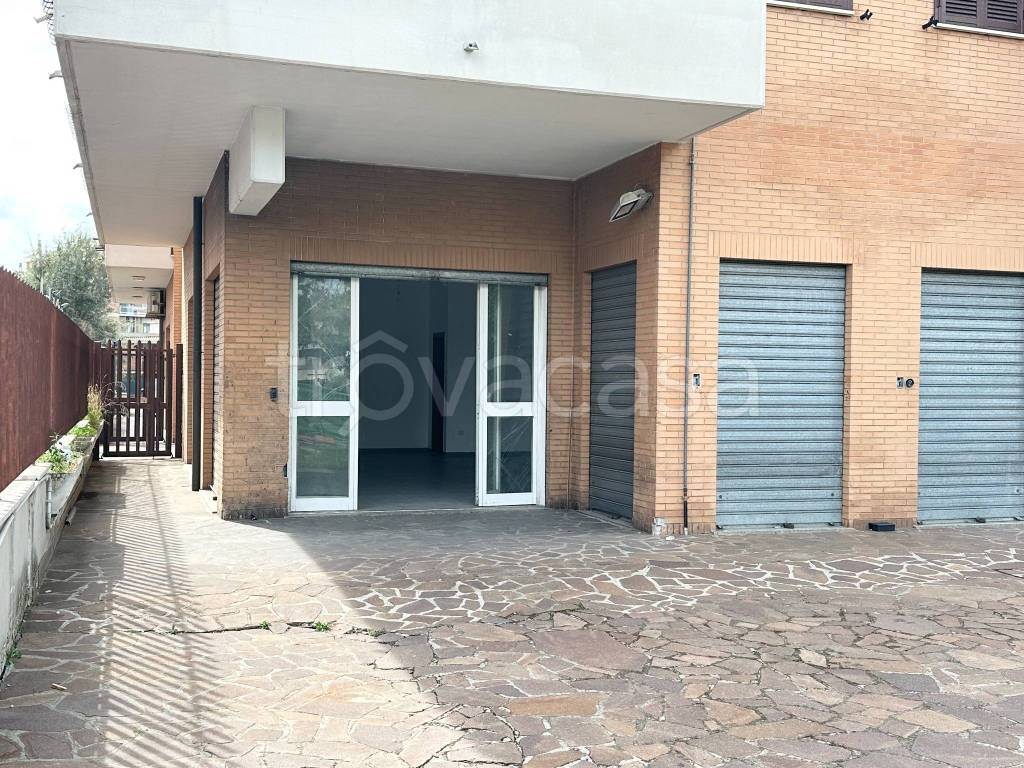 immagine annuncio 10 di 11