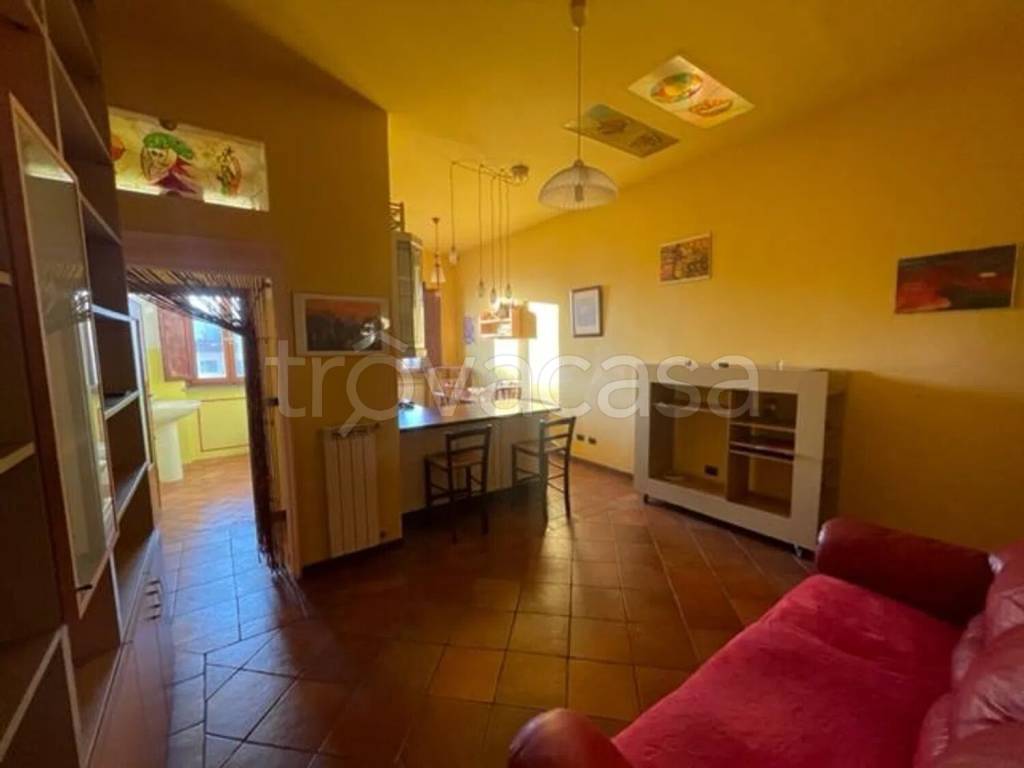 immagine annuncio 12 di 14