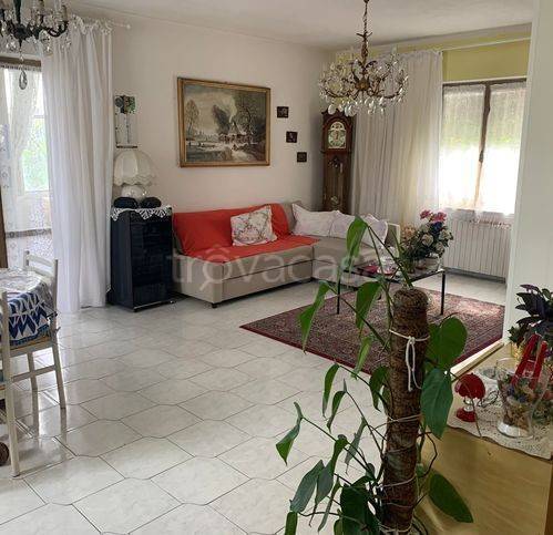 immagine annuncio 7 di 12