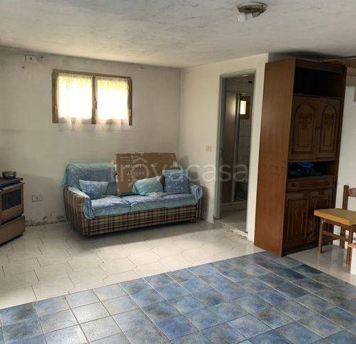 immagine annuncio 10 di 12