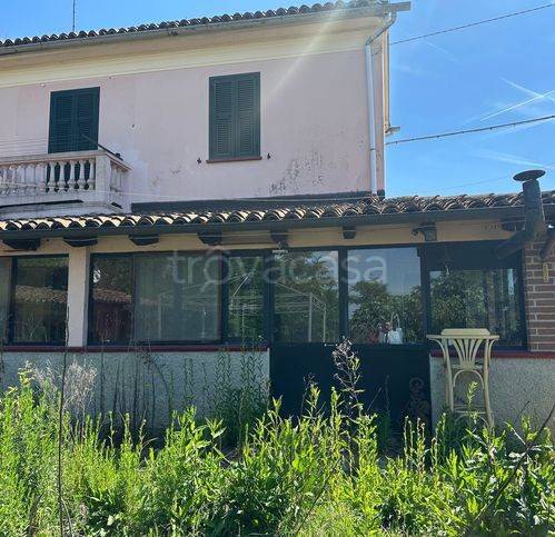 immagine annuncio 4 di 6