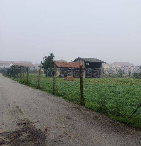 immagine annuncio 4 di 7