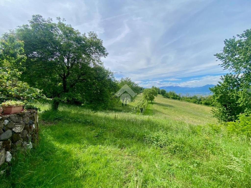 immagine annuncio 1 di 9