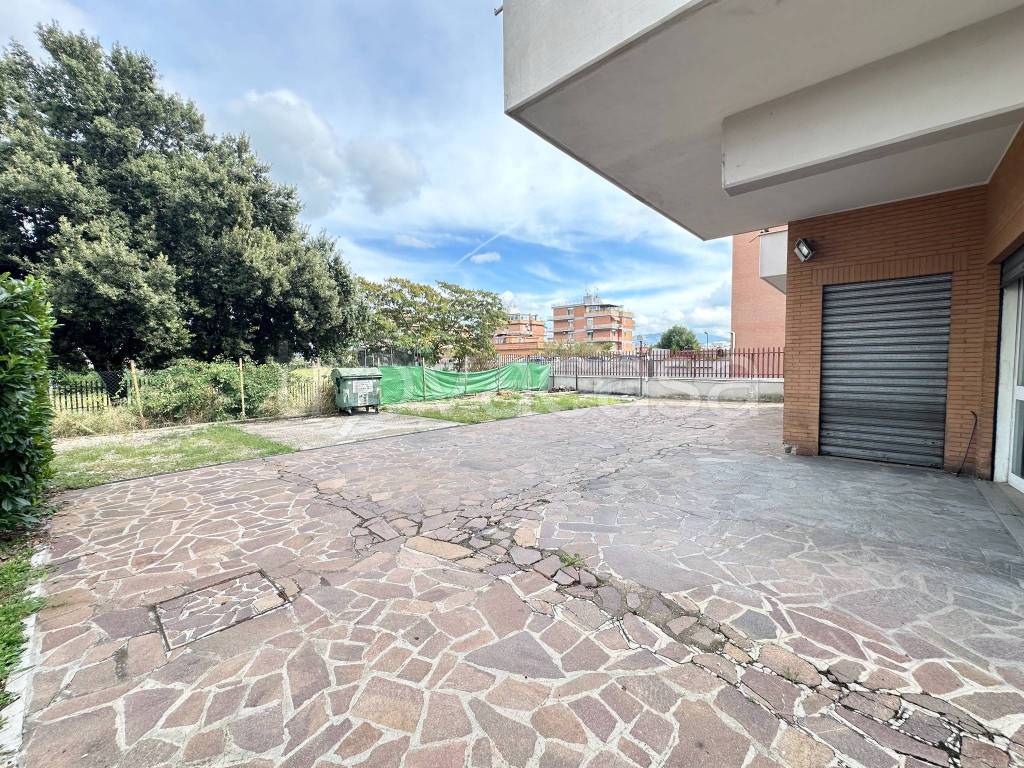 immagine annuncio 6 di 11