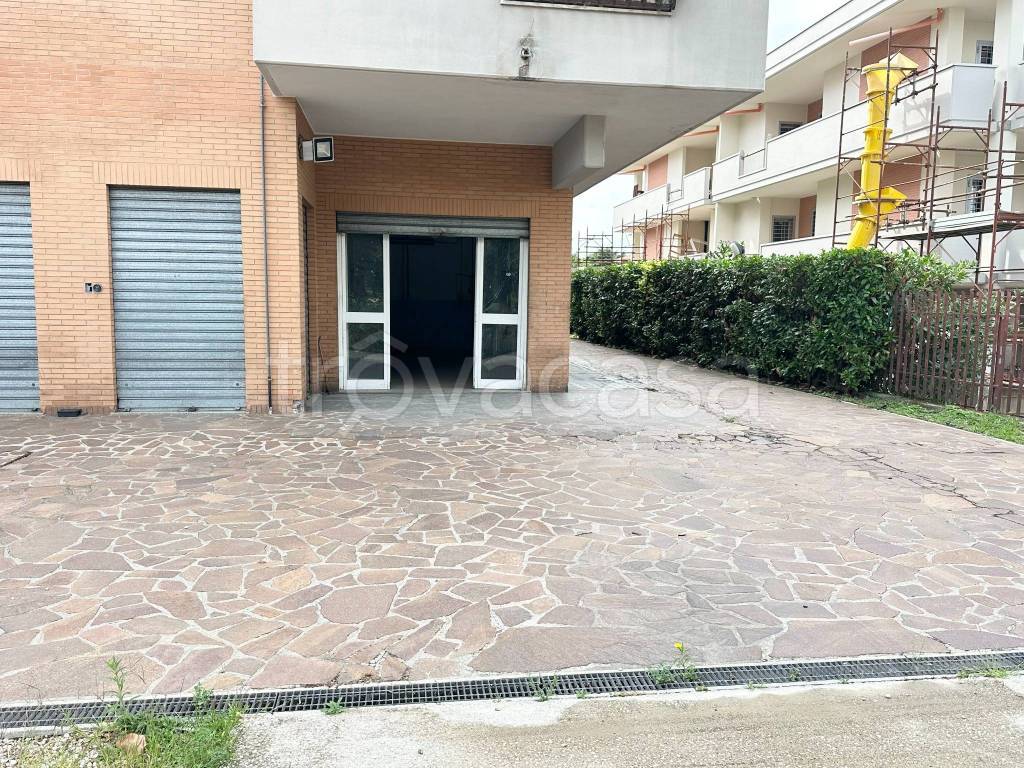 immagine annuncio 8 di 11